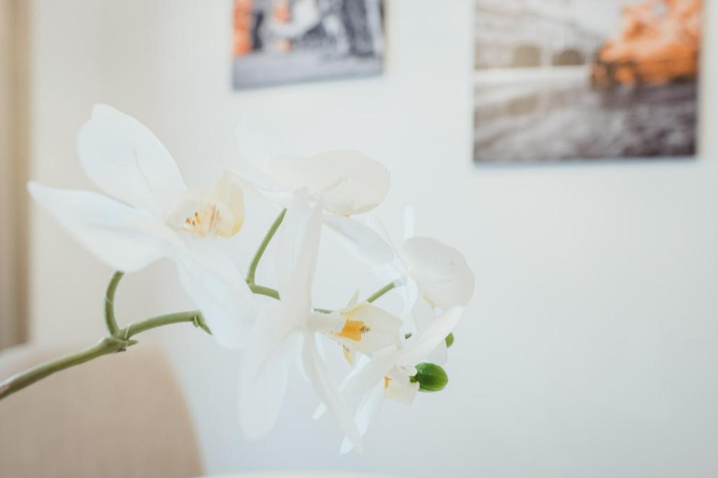 Oliver Apartments | contactless check-in - Resim 14