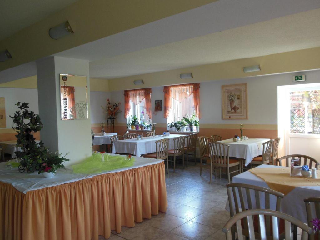 Restaurace v ubytování Hotel Asterra