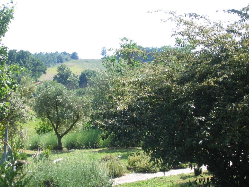 Příroda nedaleko bed and breakfast