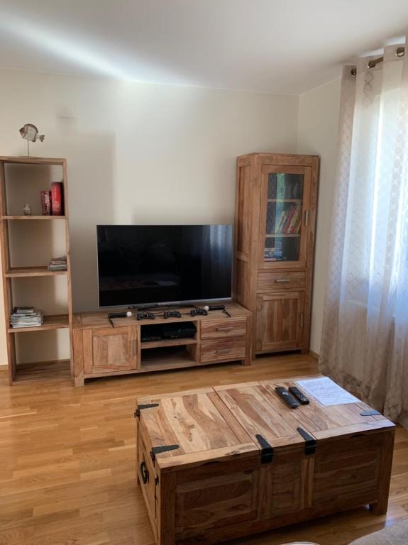 TV a/nebo společenská místnost v ubytování Remarkable home Bohinj Lake
