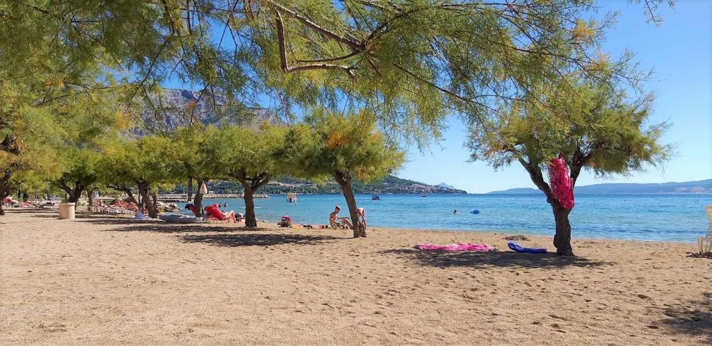 Príroda v okolí apartmánu