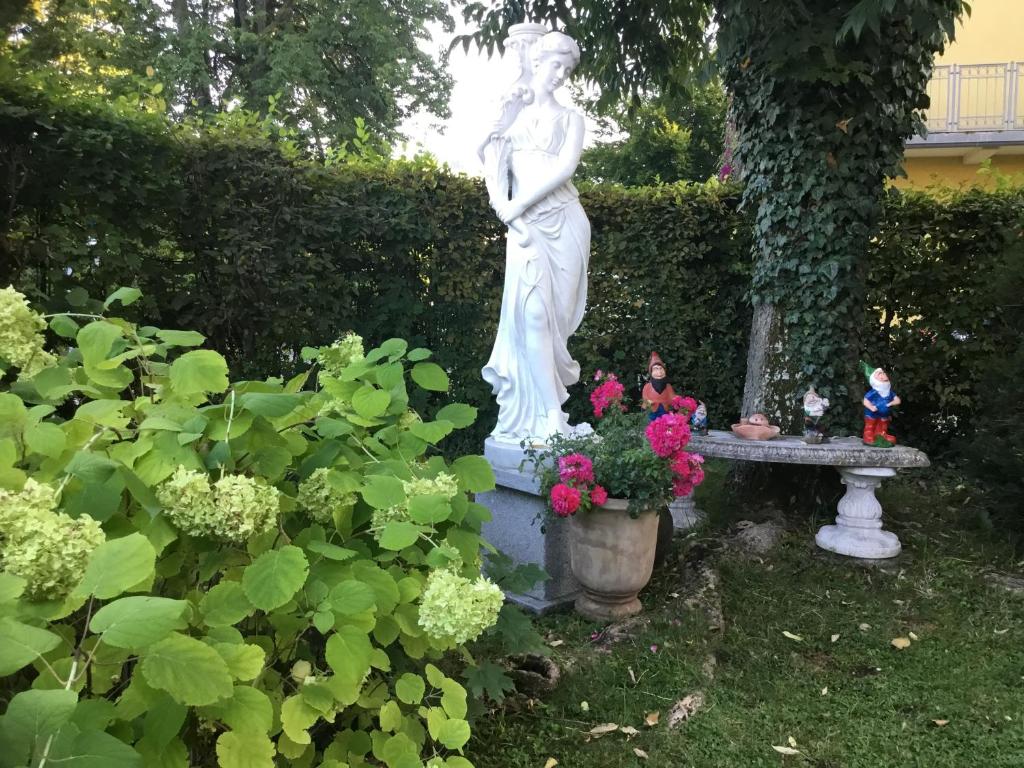 Zahrada ubytování Villa Auguste