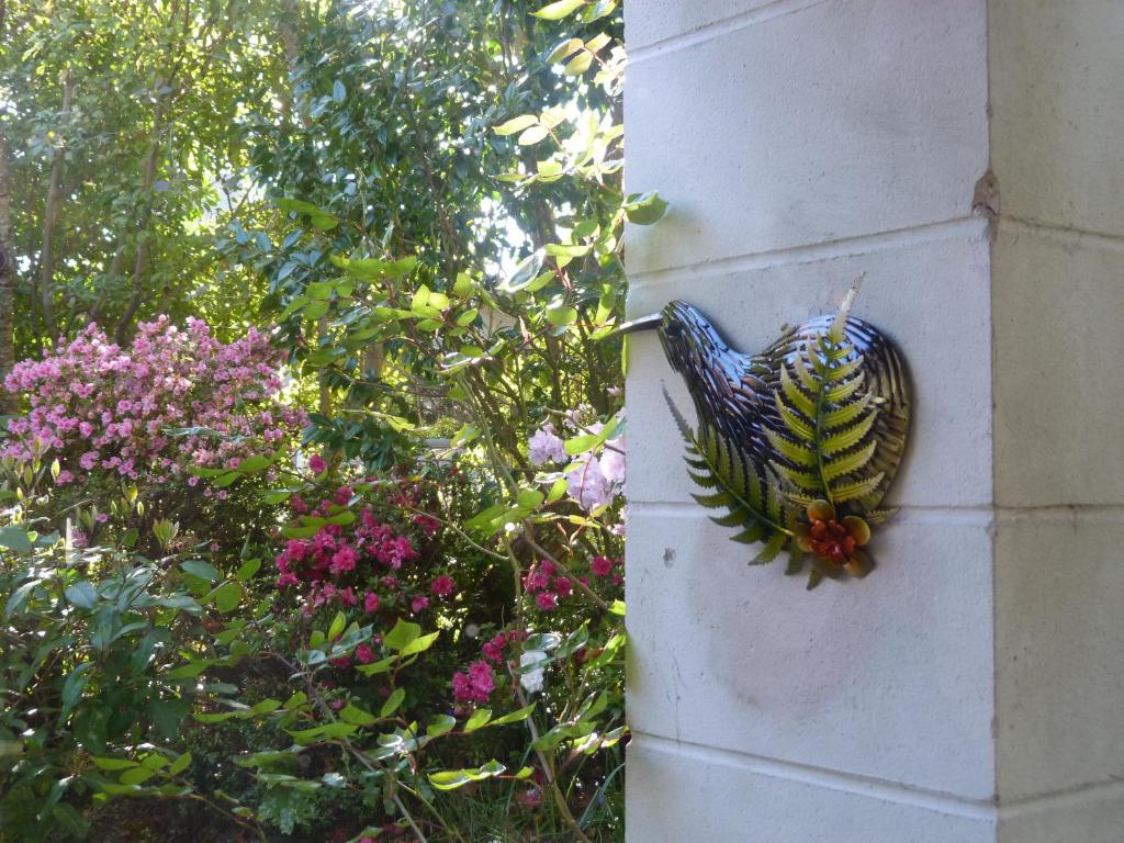 Fred&Donz Bed and Breakfast - Resim 15