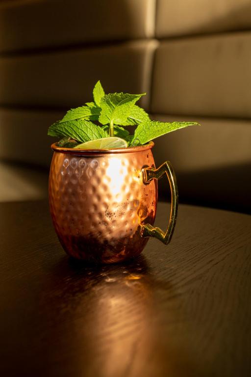 Hotel Walhalla - Resim 20