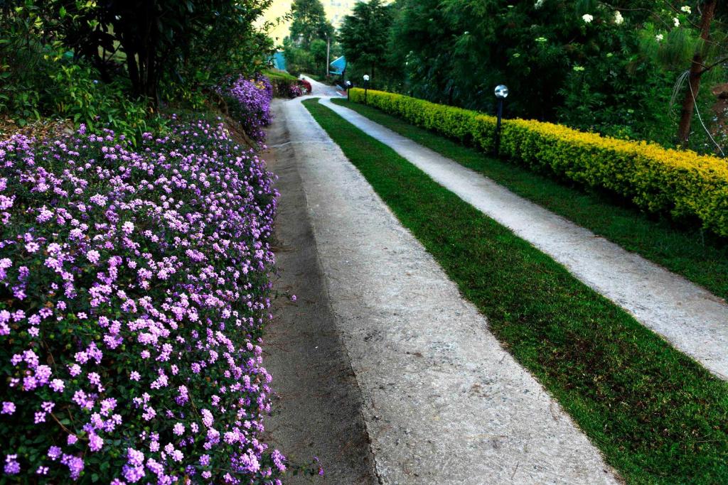 Zahrada ubytování Camelot Resort