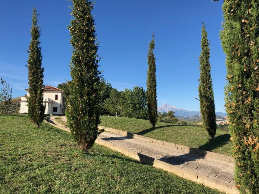 uma fila de ciprestes em frente a uma casa em Casa Belfi em Castilenti