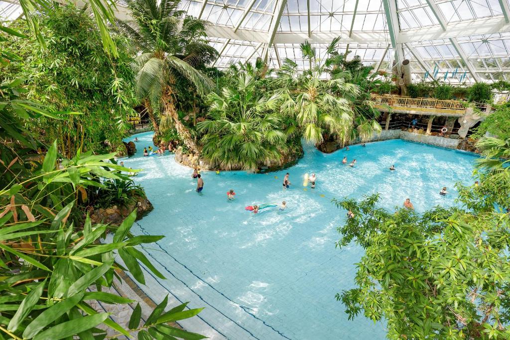 Bazén v ubytování Center Parcs Bispinger Lüneburger Heide nebo v jeho okolí