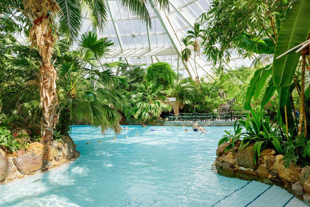 Bazén v ubytování Center Parcs Bispinger Lüneburger Heide nebo v jeho okolí