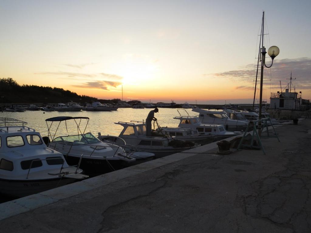 a group of boats docked in a harbor at sunset at Holiday Home Mara in Privlaka