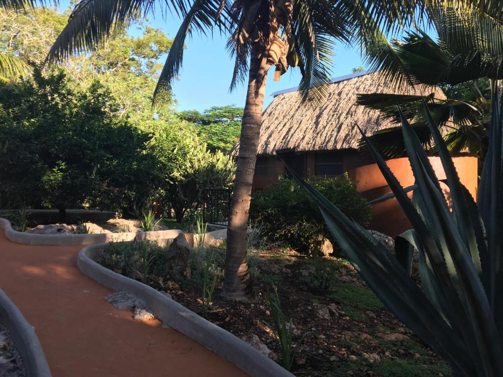 Zahrada ubytování The Pickled Onion B&B and Restaurant Uxmal