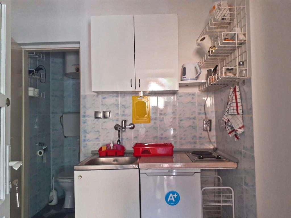 Kuchyň nebo kuchyňský kout v ubytování Studio Krunska 6