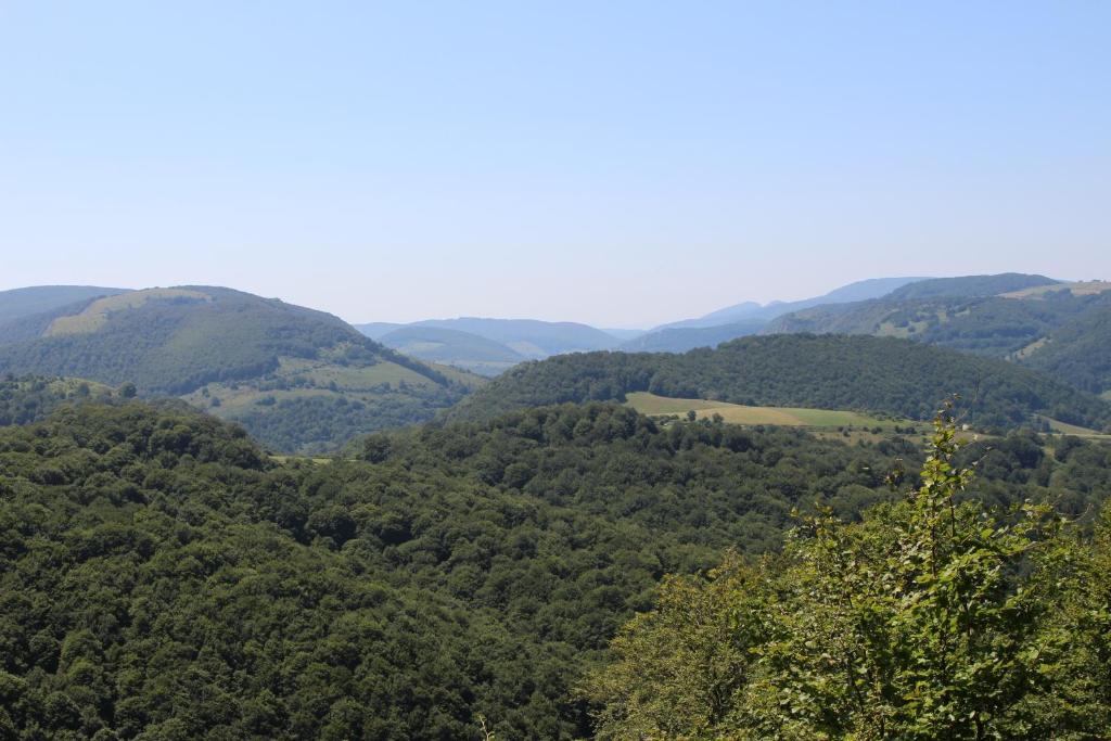 Příroda nedaleko apartmánu
