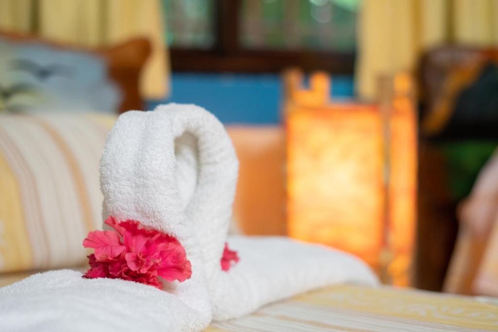 Postel nebo postele na pokoji v ubytování Atlantida Lodge Cahuita