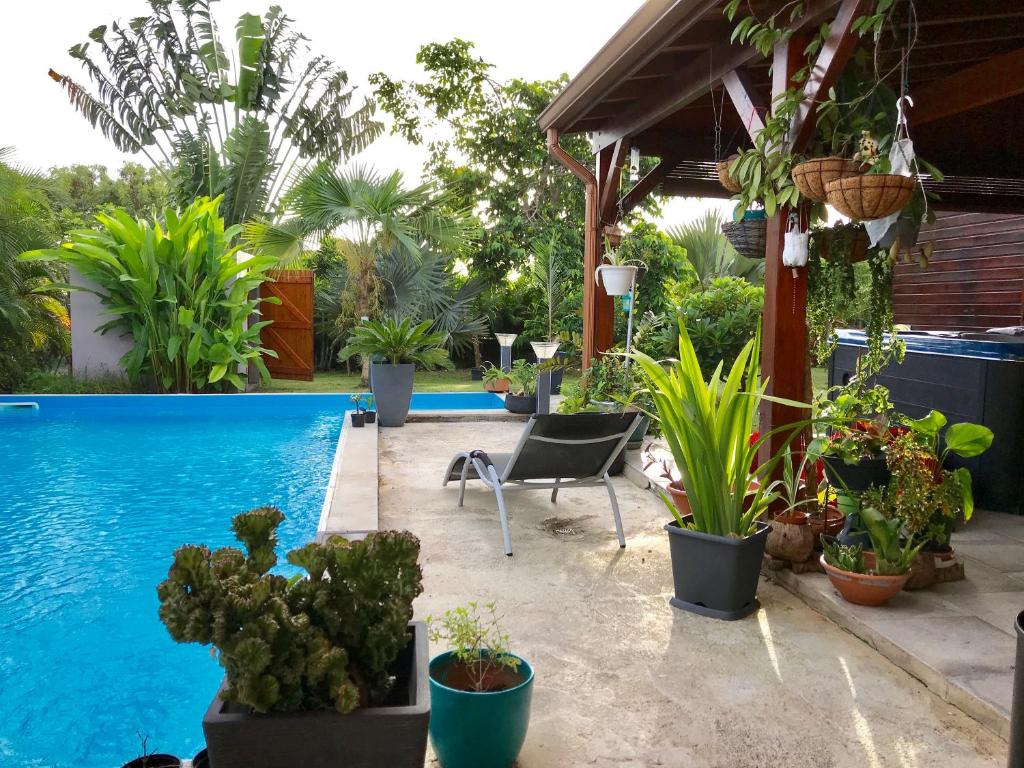 uma piscina com um monte de vasos de plantas ao lado em Villa Saphir em Sainte-Anne