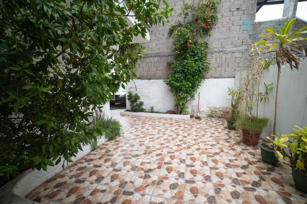 Zahrada ubytování Hostal Estrella de Mar