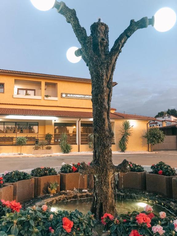 a tree in a fountain in front of a building at Alojamento Restaurante Dom Dinis in Vila Nova de Poiares