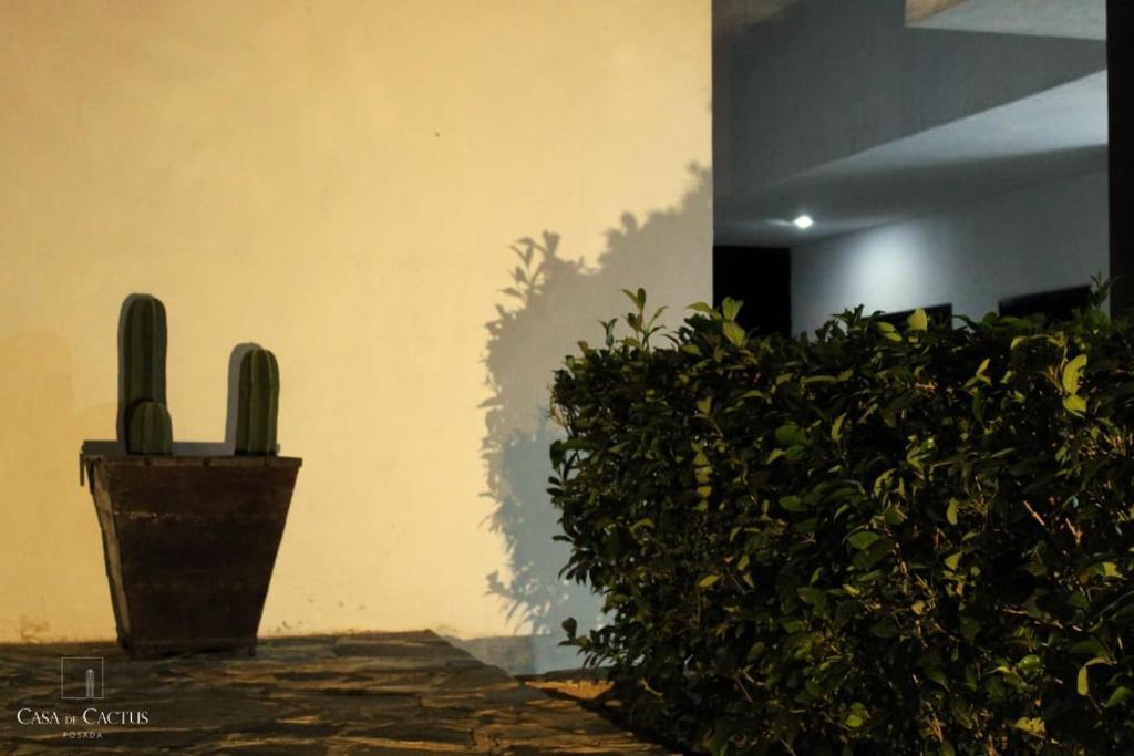 Fotografie z fotogalerie ubytování Casa de Cactus v destinaci Bernal