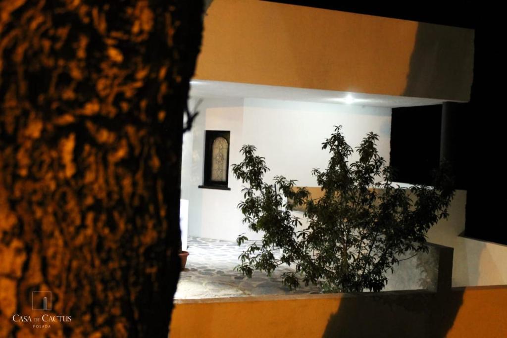 Fotografie z fotogalerie ubytování Casa de Cactus v destinaci Bernal