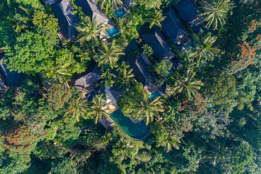 an aerial view of palm trees and a river at Komaneka at Tanggayuda Ubud in Ubud