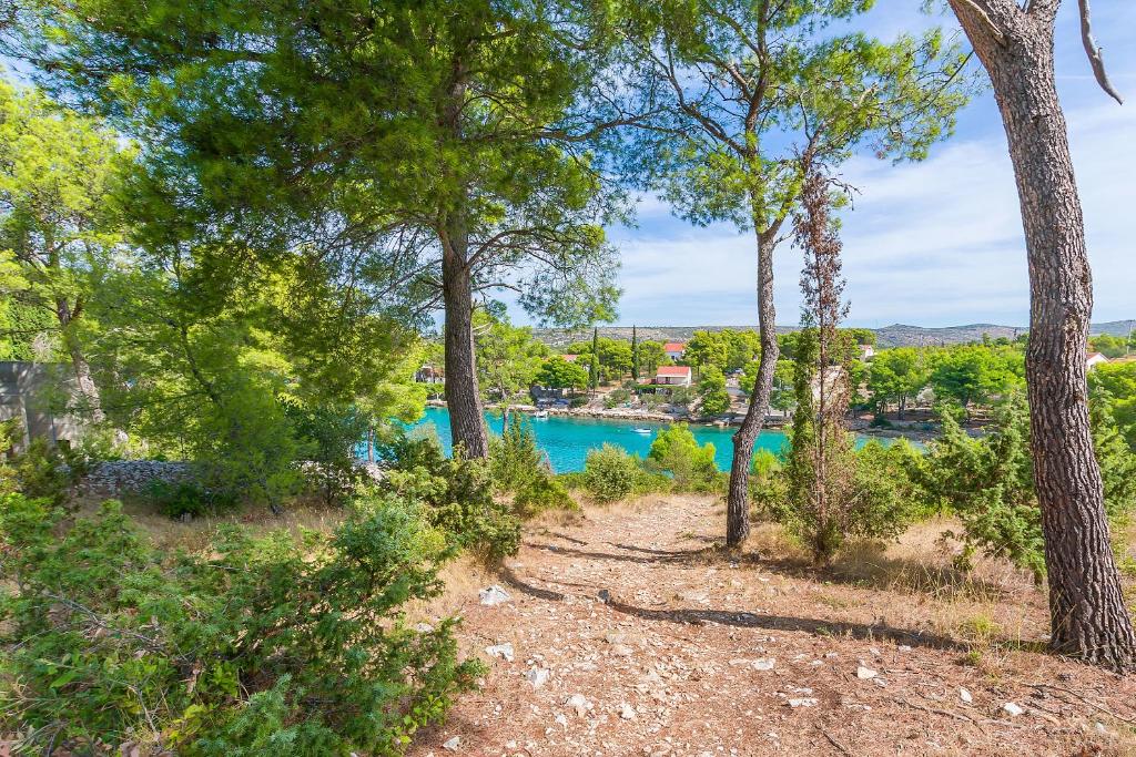 a view of a body of water through trees at Apartment Vesna in Milna