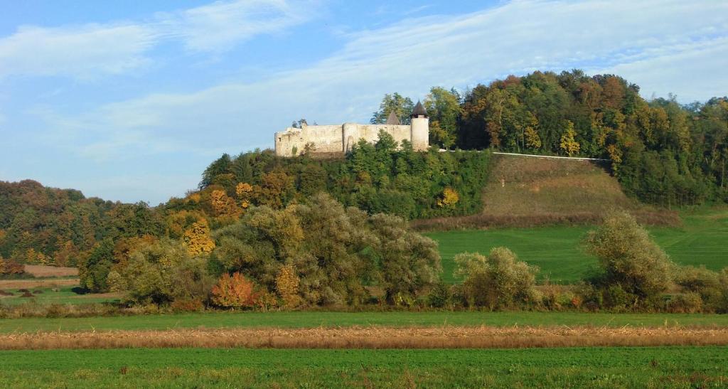 Příroda nedaleko hotelu