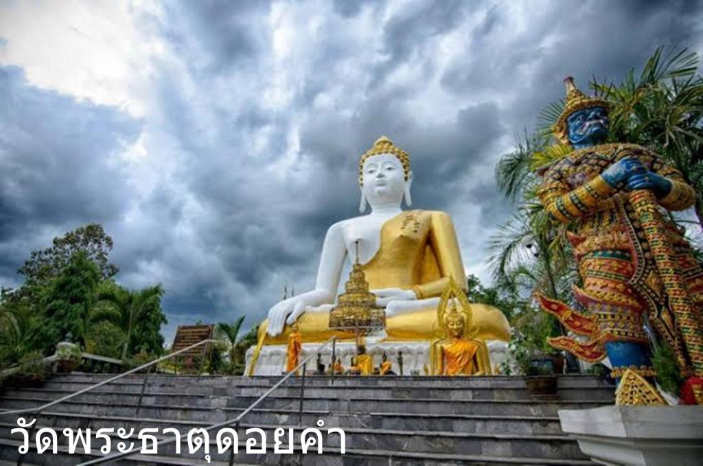 The Greenery central suite & hotel - Resim 12