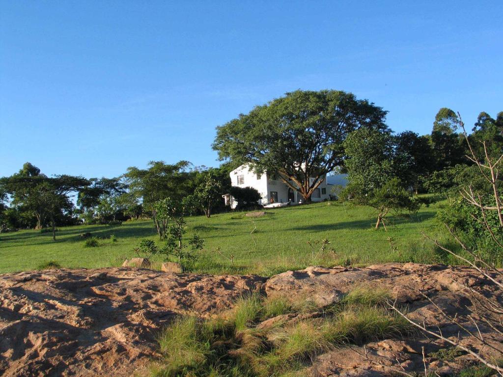 uma casa numa colina com um campo e árvores em White House Lodge em White River