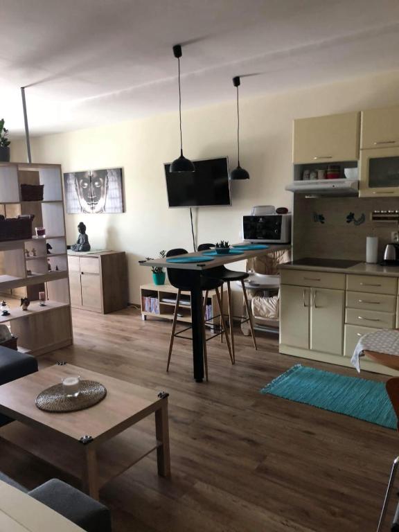 Kuchyň nebo kuchyňský kout v ubytování Apartman BibKa
