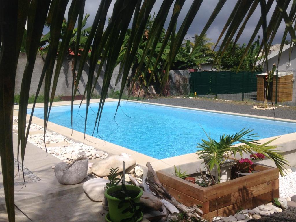 a swimming pool with palm trees in front of it at Chambre d'hôte Coeur-CoCo piscine in Saint-François