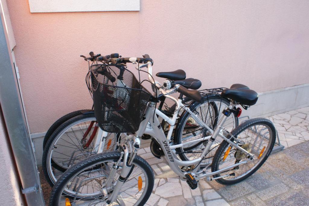 Jazda na bicykli v okolí ubytovania Apartments Villa Rosina