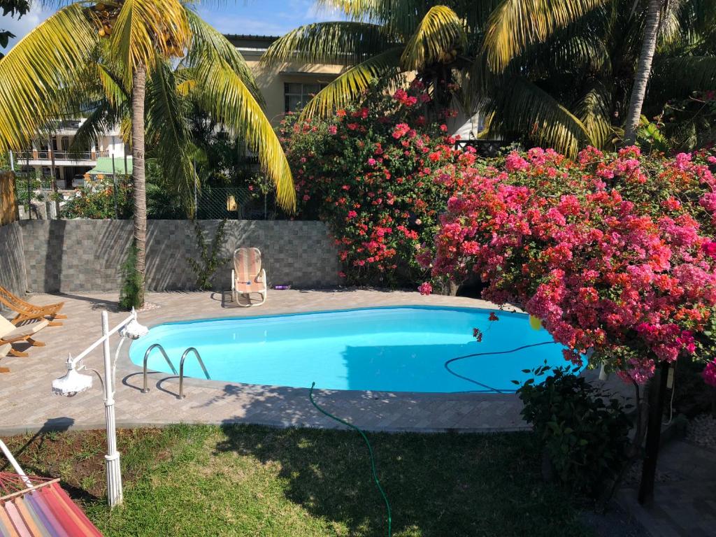 Bazén v ubytování PAILLE EN QUEUE with HEATED POOL PISCINE CHAUFFEE nebo v jeho okolí