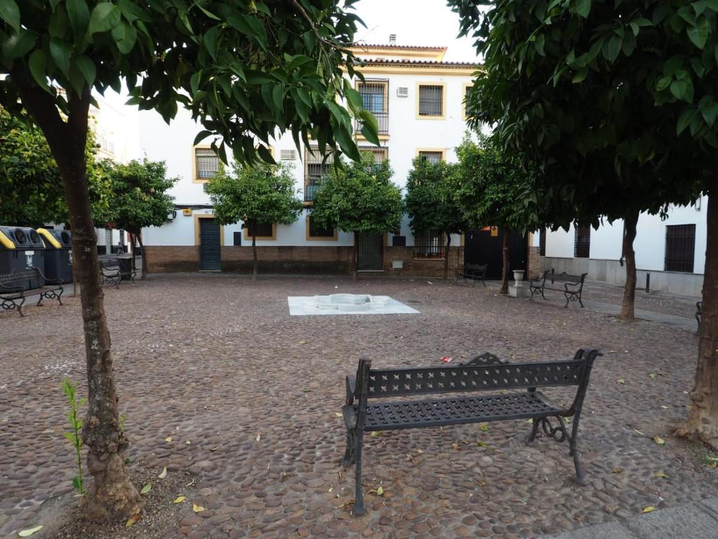 a park bench in front of a building with trees at CALLE ABEJAR,PLAZA in Córdoba