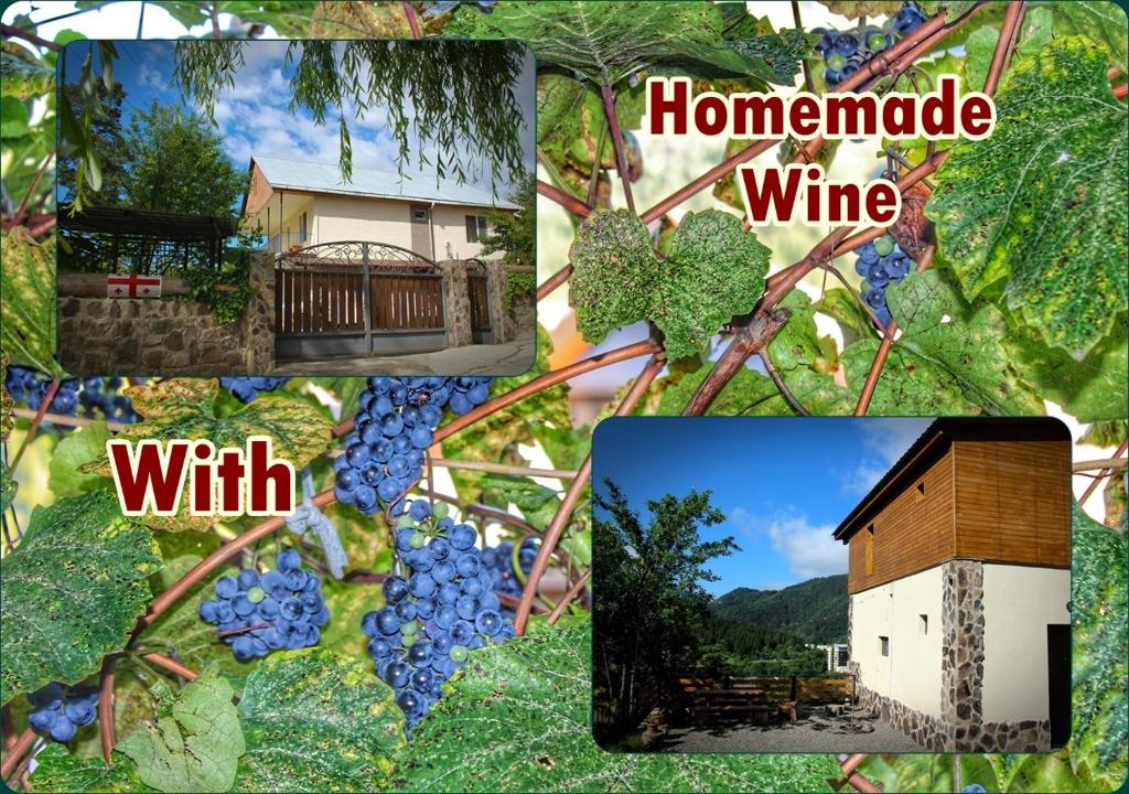 a collage of photos with grapes and a house at Guest House on Meskheti in Borjomi