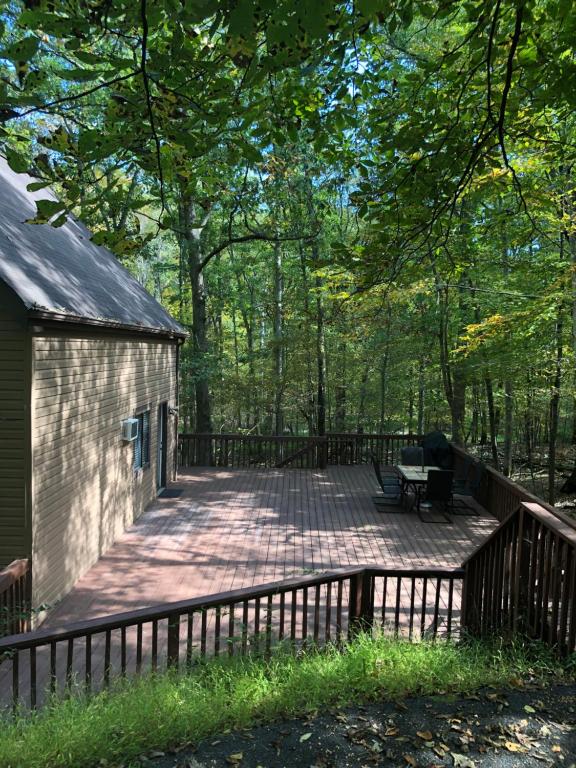 O grădină în afara Cozy Cottage at Saw Creek