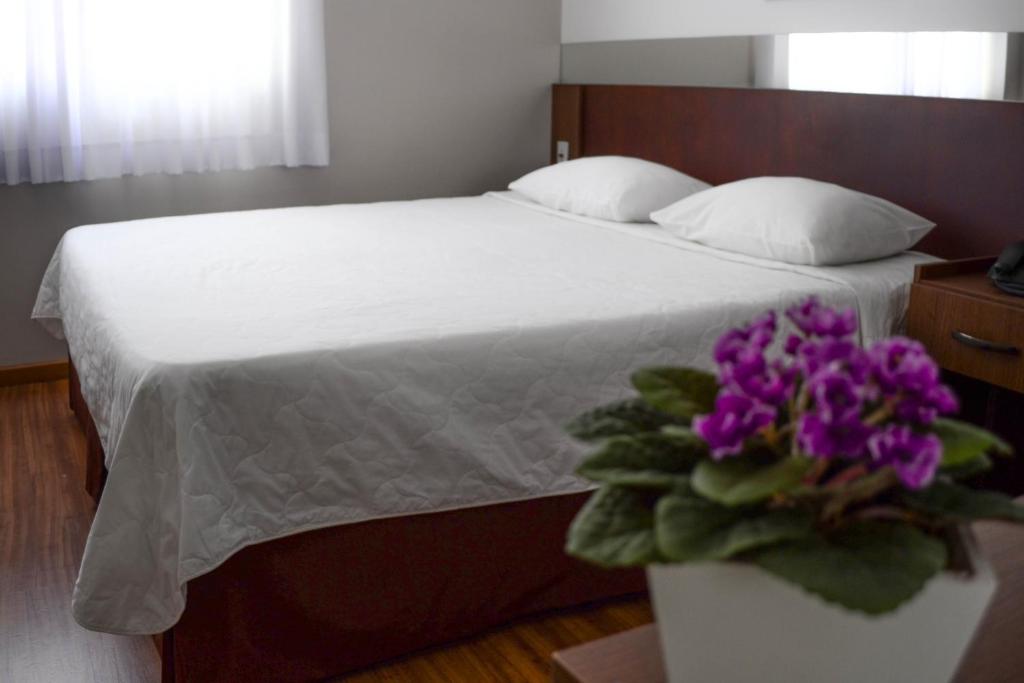  Hotel Itajara