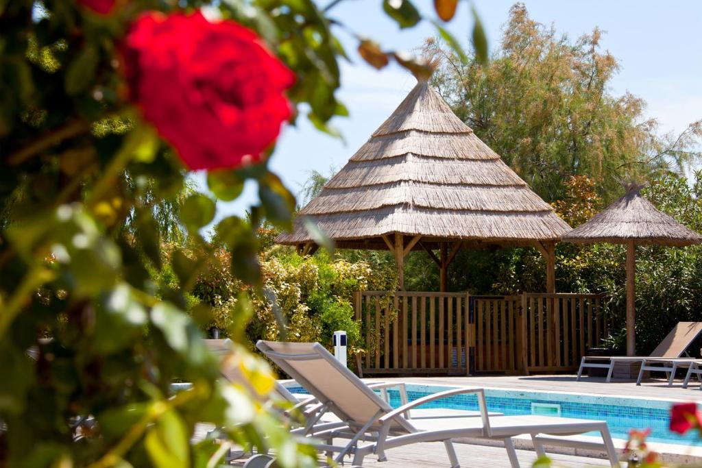 - une piscine avec des chaises, un parasol et une rose rouge dans l'établissement Le Mas de Cocagne, à Saintes-Maries-de-la-Mer