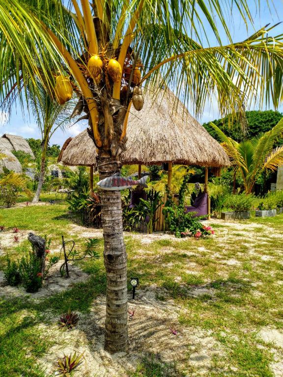 Zahrada ubytování Ecoresort Sumba Dream