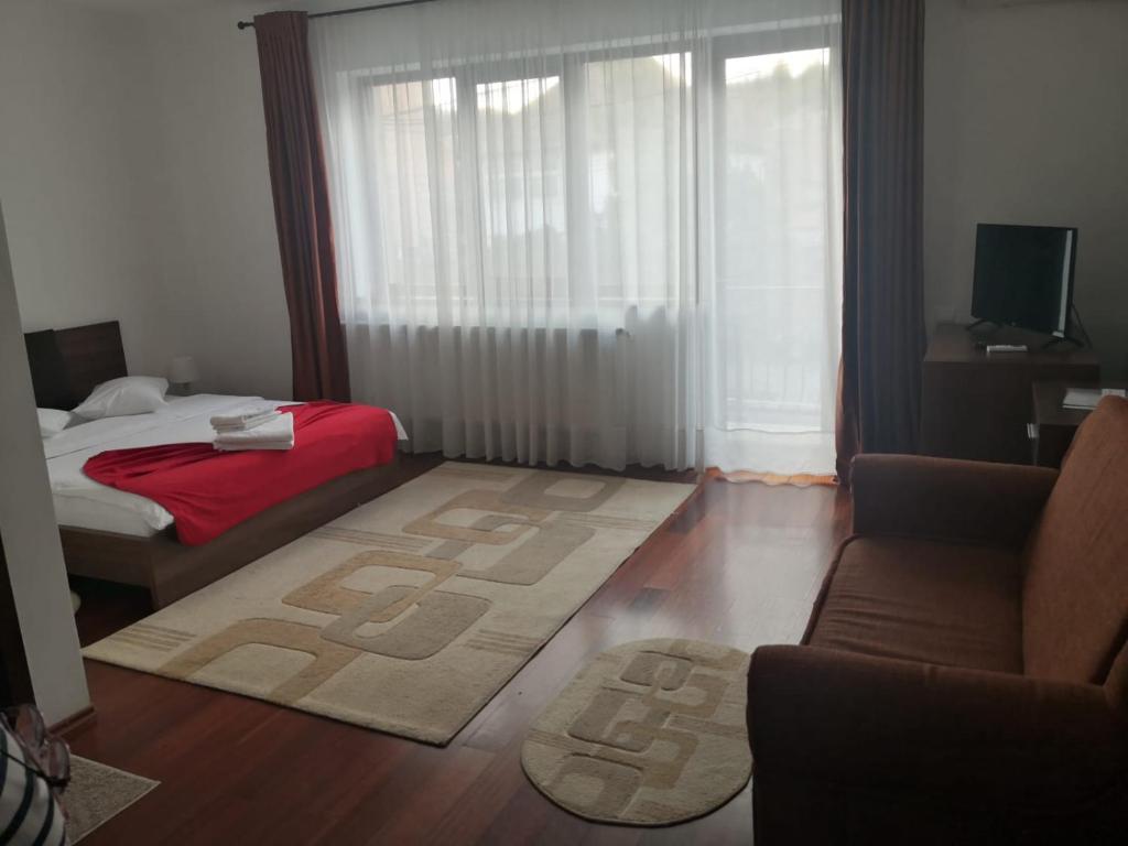 a bedroom with a bed and a couch and a rug at Pensiunea Maria in Călimăneşti