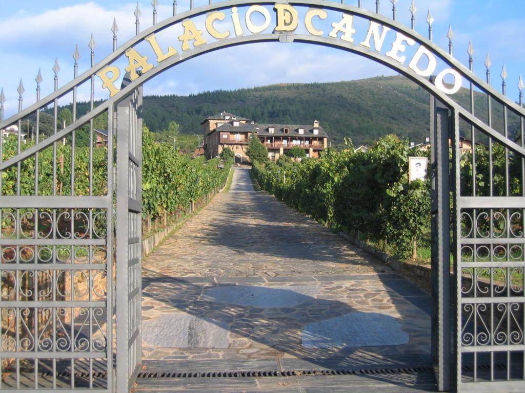 Príroda v okolí hotela