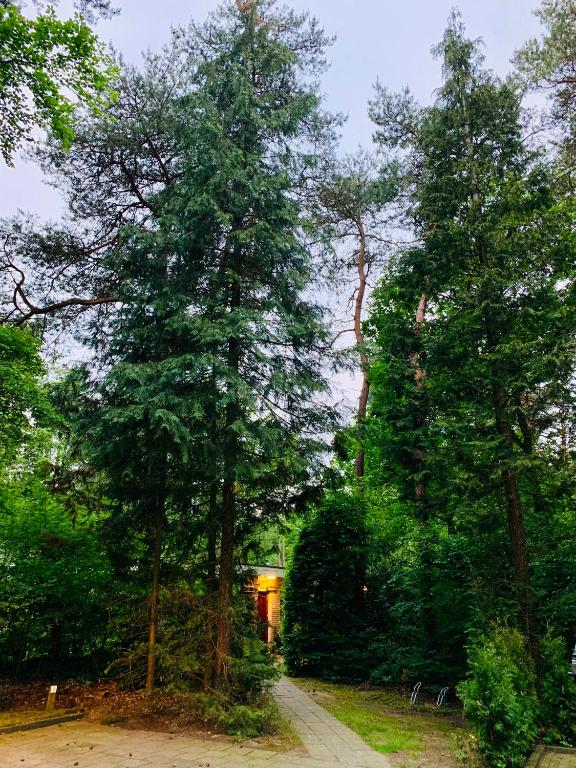 Zonnebos, private garden, fresh air, relax! - Casa Natalizia