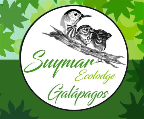 阿約拉港的住宿－Suymar Ecolodge Galapagos，两只鸟坐在白板上的枝子上