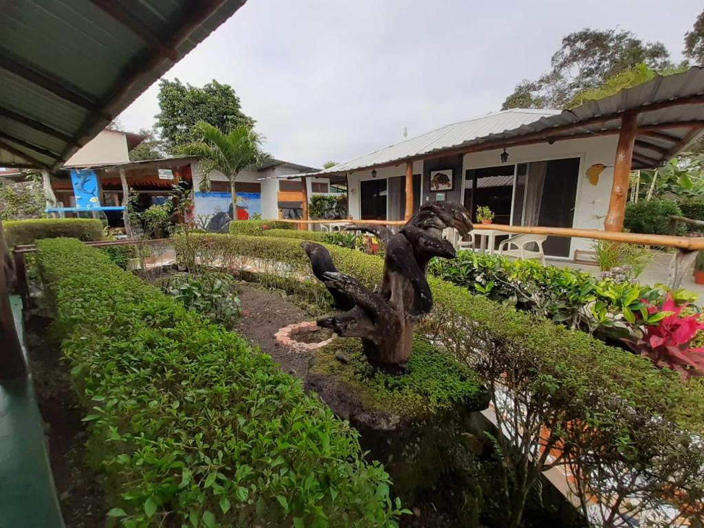 Zahrada ubytování Suymar Ecolodge Galapagos