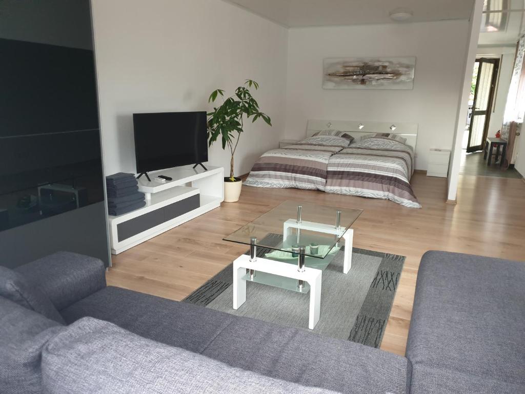 a living room with a couch and a tv at Carina Apartment in Kandern