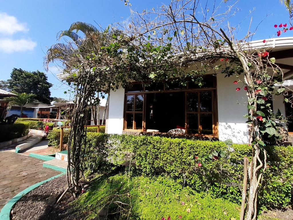 Zahrada ubytování Suymar Ecolodge Galapagos