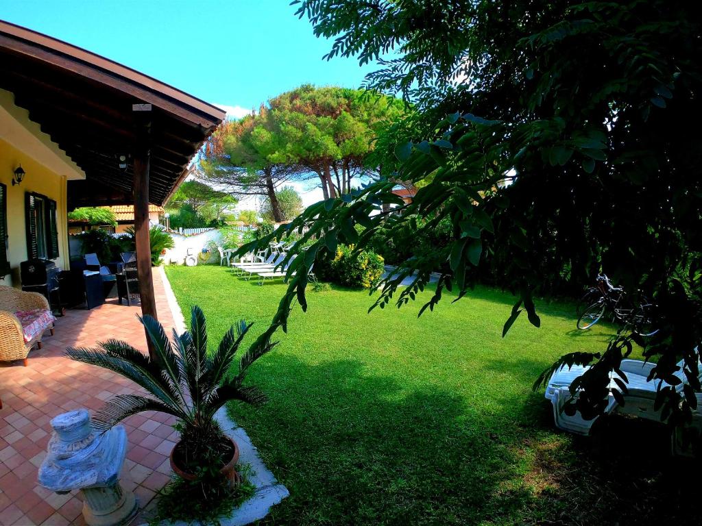 un cortile con una palma e una casa di Villa Leo a Terracina