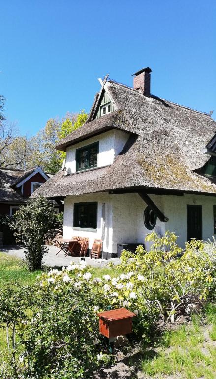 an old house with a thatched roof at Darßer Strandgut - Haus Butzek in Ahrenshoop