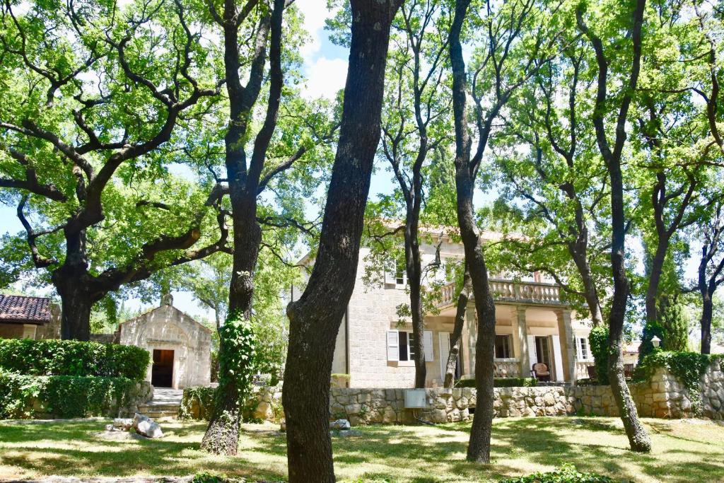 een huis met bomen ervoor bij Villa Tereza in Čilipi