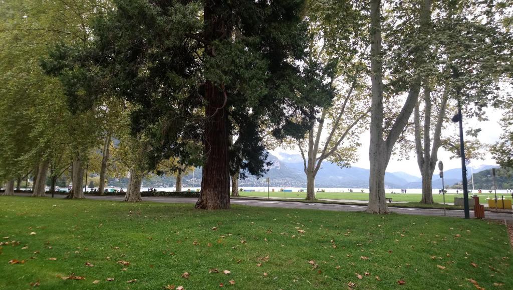 un parco con alberi e prato verde e un marciapiede di Résidence Albigny Studio Vue Sur Lac Centre-ville d'Annecy ad Annecy