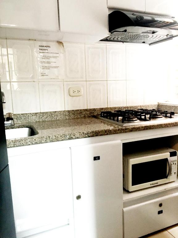 Kuchyň nebo kuchyňský kout v ubytování Hotel Casa Paulina