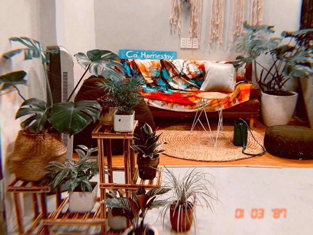 un salon rempli de nombreuses plantes en pot dans l'établissement Te House, à Hô-Chi-Minh-Ville